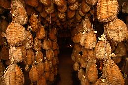 32Esima Festa del Culatello di Zibello

