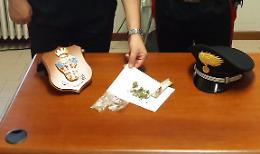 Controllo dei carabinieri, sequestrata marijuana
