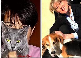 La lirica d&agrave; voce ai cani e gatti bisognosi
