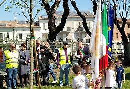 Dono del Rotary: tigli antismog alle scuole