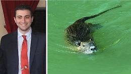Nutria a tavola? Meglio la trippa: la proposta di Marchi divide