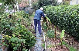 Orti e giardini sono abusivi, via tutto entro sessanta giorni