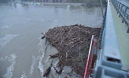 Po in piena, isole di tronchi da paura