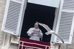 Papa: gesti di pace contro odio e violenza 