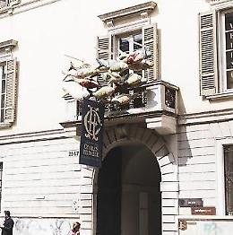 Un banco di pesci vola su Brescia