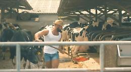 Bosio, Playa Contadina è l'inno all'estate agricola