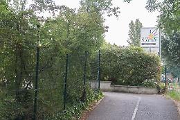 Lite e spintoni, pomeriggio movimentato a San Zeno