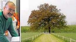 E' morto Simone Mazzata, lottò per nonna quercia 