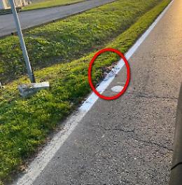 Via Persico, le strisce ridipinte sulle carcasse delle nutrie