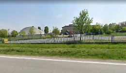 Scuola, nuovi alberi: «Riparo contro  le garzette»
