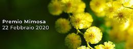 Premio Mimosa 2020, vota le donne dello sport cremonese