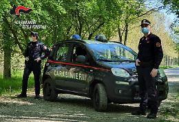 Sequestrati 60 cani a veterinaria abusiva nel mantovano