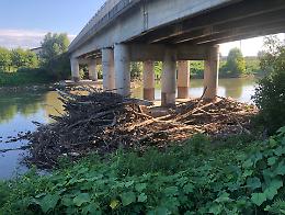 Fiume Oglio, il ponte è assediato dai detriti