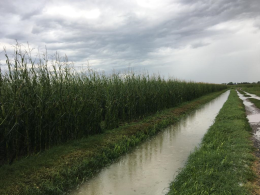 A Mirabello Ciria di Casalmorano si allunga la lista dei danni