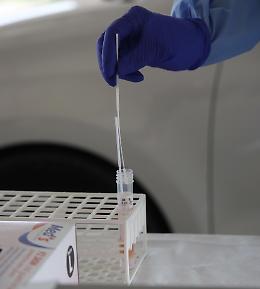Focolaio nel Mantovano, Gallera: '97 casi, individuato col tracciamento'