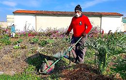 Orti sociali, scommessa vinta