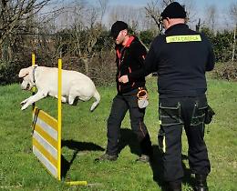 Cani molecolari, il fiuto che ti salva la vita