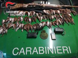 Abbattuti uccelli protetti, nei guai due cacciatori bresciani