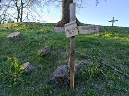 FOTO Parco Bonaldi, una croce al posto dell'albero tagliato