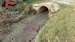 Carabinieri Forestale, attività di tutela delle acque superficiali del territorio