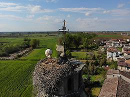 Sono cinque le uova della cicogna di Cornaleto