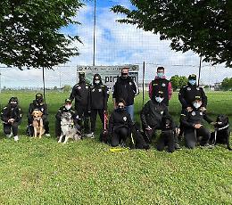 Una casa per i cani salvatori di vite