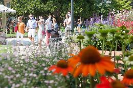 Invasioni Botaniche in bilico, si decide nelle prossime ore