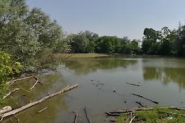 Escursione nella lanca con il WWF