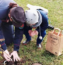 Un albero per il futuro, in provincia di Cremona il bosco diffuso della legalità 