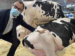 Patuanelli, partita etichetta è chiusa ma per il Nutriscore
