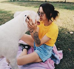 Calvatone, anno da incorniciare: sono 150 i cani adottati