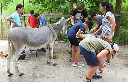 Calvatone, alla scoperta della riserva naturale e Oasi WWF Le Bine