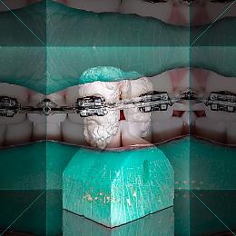 Mechanical Animals - Il design sperimenta il virtuale