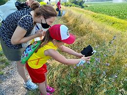 BioBlitz, monitoraggio della biodiversità regionale