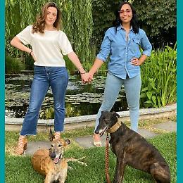 QUINTETTO ANIMAL HOUSE