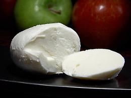 Mozzarella Stg, vittoria Italia in Ue: ok a modifica regime protezione “con riserva del nome”