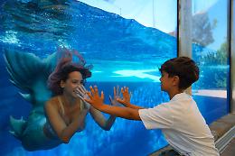 Gardaland SEA LIFE Aquarium, l’esibizione della sirena  ha incantato i visitatori