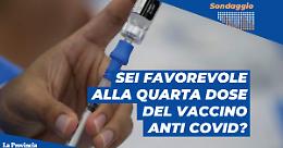 Il Covid rialza la testa, in arrivo la quarta dose di vaccino. Cosa ne pensi?