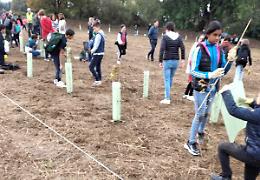 Alberi a dimora con l'aiuto degli alunni delle Medie Manziana e Galmozzi 