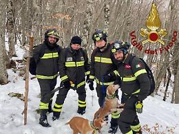 Smarriti nei boschi, due cani recuperati su strapiombo da Vigili del fuoco