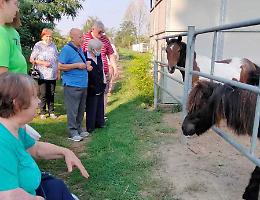 Attivit&agrave; rurali  e solidariet&agrave; attraverso il contatto con la natura e gli animali