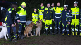 Cani da ricerca, test sul Serio