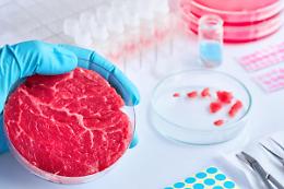 Alimentare: governo, la produzione di carne coltivata inquina