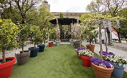 Le Invasioni Botaniche: Fiori, piante, orti e affini tutti con il naso all’insù