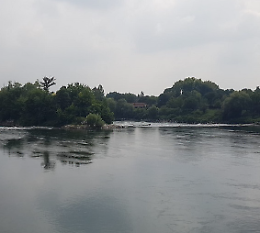 Incontro "Rivolta d'Adda, terra di Tarantasio"