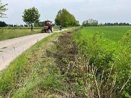 Tagliata siepe naturale a lato strada, è denuncia contro ignoti