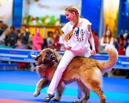 Dog Dance, per la prima volta in Italia i Campionati Europei