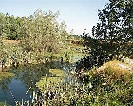 Passeggiata interattiva: "Parchi sommersi. Parco del Serio"