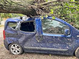 Paura al Roggione, una grossa pianta cade su due auto parcheggiate