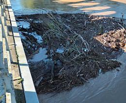 Allerta detriti e rami contro il ponte